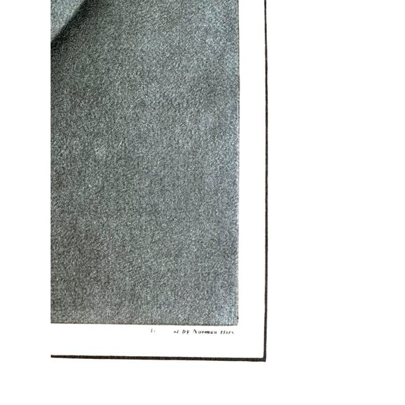 Vintage 1931 George Washington Mezzotint Print by Frost & Reed Ltd. - Picture 2 of 10